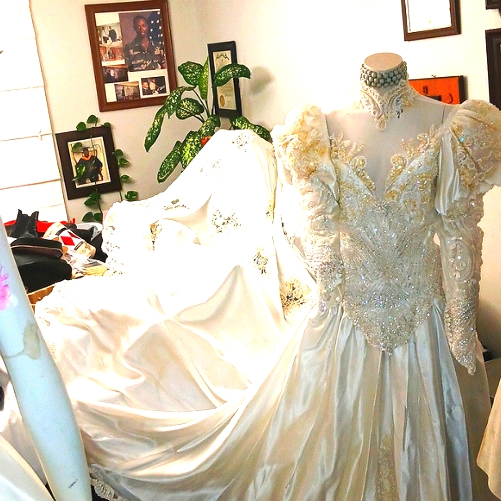 Demetrio's Platinum  Diamonds and Pearls wedding dress